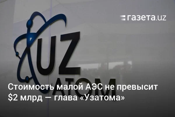 Стоимость малой АЭС в Узбекистане не превысит $2 млрд — глава «Узатома»
